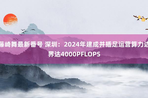 藤崎舞最新番号 深圳：2024年建成并插足运营算力边界达4000PFLOPS