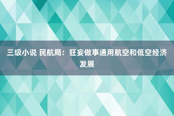 三级小说 民航局：狂妄做事通用航空和低空经济发展