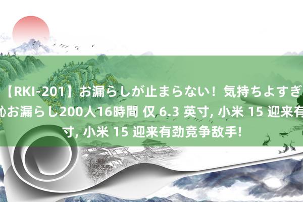 【RKI-201】お漏らしが止まらない！気持ちよすぎる失禁・羞恥お漏らし200人16時間 仅 6.3 英寸， 小米 15 迎来有劲竞争敌手!