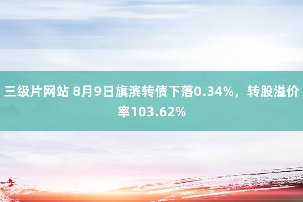 三级片网站 8月9日旗滨转债下落0.34%，转股溢价率103.62%