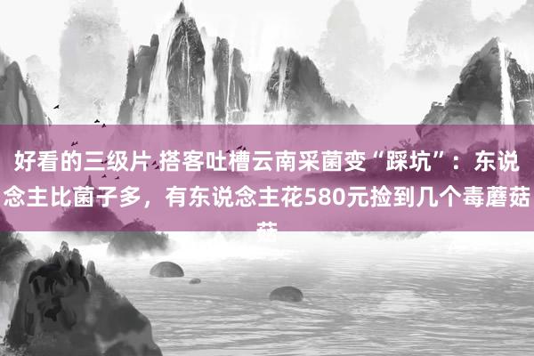 好看的三级片 搭客吐槽云南采菌变“踩坑”：东说念主比菌子多，有东说念主花580元捡到几个毒蘑菇