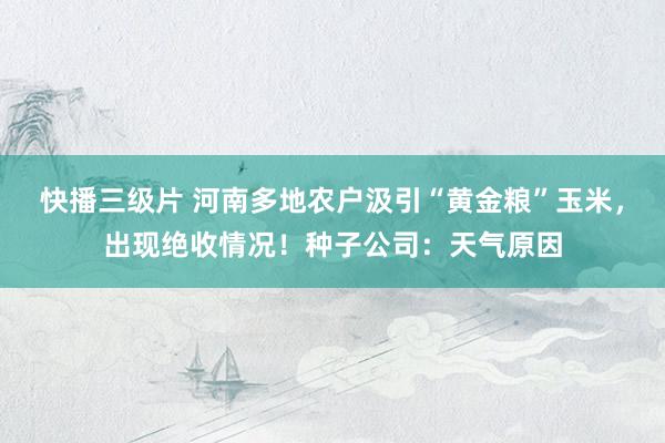 快播三级片 河南多地农户汲引“黄金粮”玉米，出现绝收情况！种子公司：天气原因