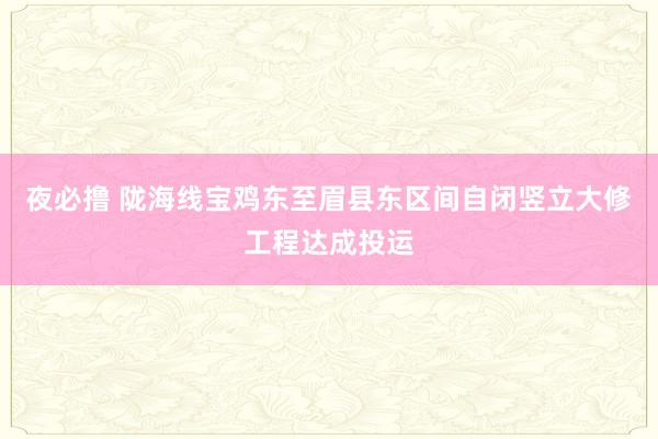 夜必撸 陇海线宝鸡东至眉县东区间自闭竖立大修工程达成投运