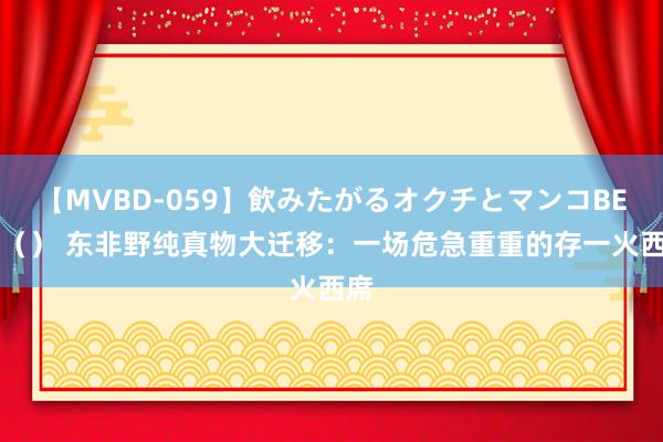 【MVBD-059】飲みたがるオクチとマンコBEST（） 东非野纯真物大迁移：一场危急重重的存一火西席