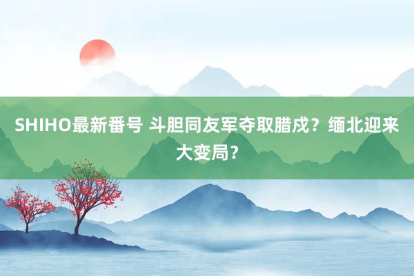 SHIHO最新番号 斗胆同友军夺取腊戍？缅北迎来大变局？