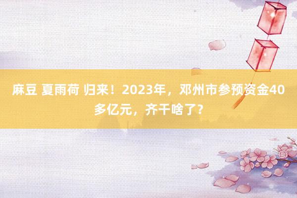 麻豆 夏雨荷 归来！2023年，邓州市参预资金40多亿元，齐干啥了？