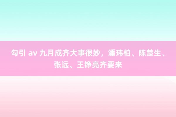 勾引 av 九月成齐大事很妙，潘玮柏、陈楚生、张远、王铮亮齐要来