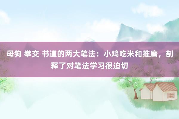 母狗 拳交 书道的两大笔法：小鸡吃米和推磨，剖释了对笔法学习很迫切