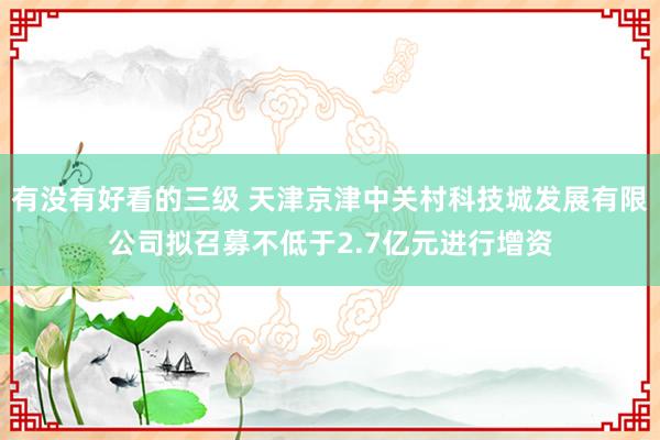 有没有好看的三级 天津京津中关村科技城发展有限公司拟召募不低于2.7亿元进行增资