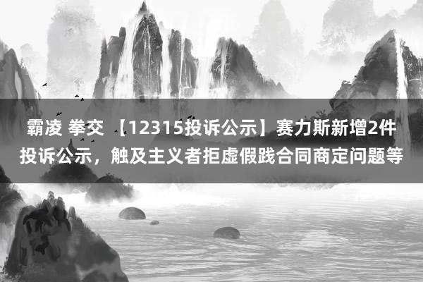 霸凌 拳交 【12315投诉公示】赛力斯新增2件投诉公示，触及主义者拒虚假践合同商定问题等