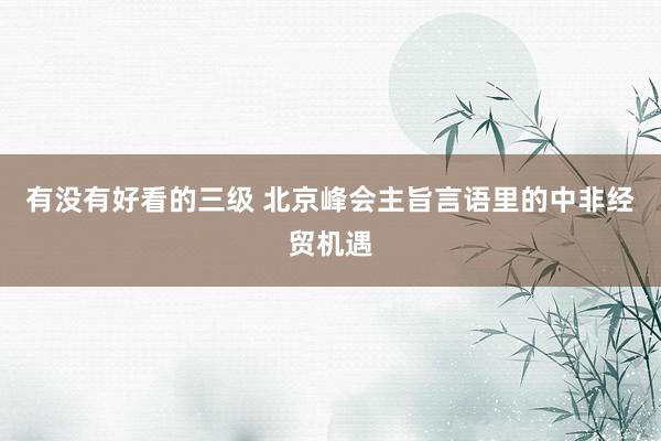 有没有好看的三级 北京峰会主旨言语里的中非经贸机遇