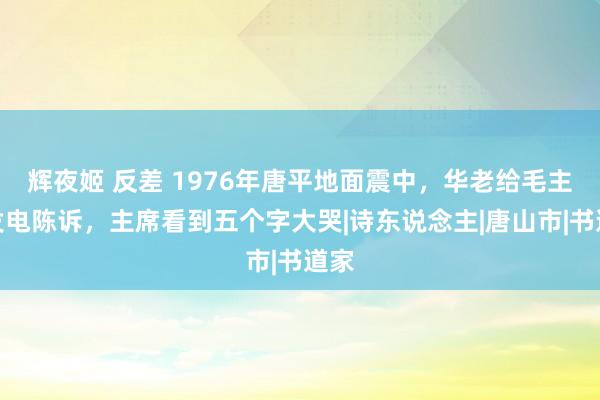 辉夜姬 反差 1976年唐平地面震中，华老给毛主席发电陈诉，主席看到五个字大哭|诗东说念主|唐山市|书道家