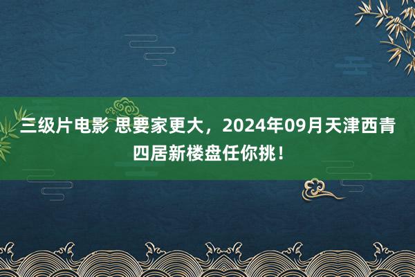 三级片电影 思要家更大，2024年09月天津西青四居新楼盘任你挑！